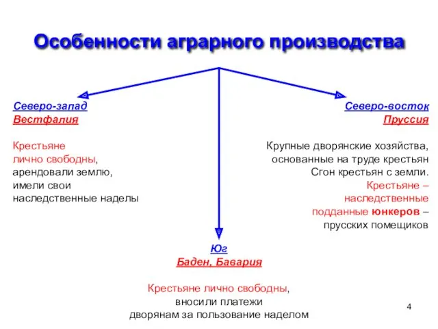 Особенности аграрного производства Северо-запад Вестфалия Крестьяне лично свободны, арендовали землю,