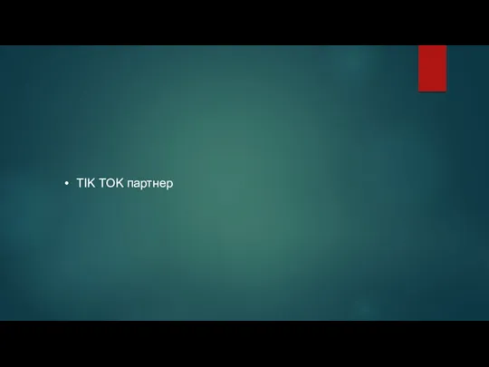 TIK TOK партнер