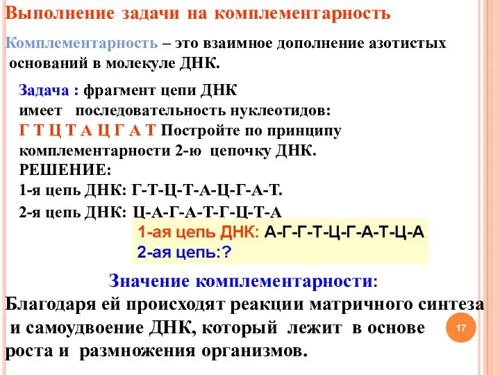 Выполнение задачи на комплементарность Комплементарность – это взаимное дополнение азотистых