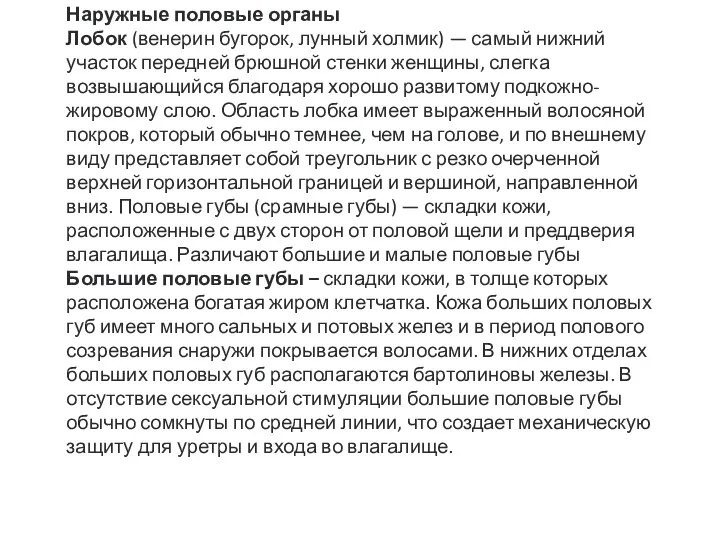 Наружные половые органы Лобок (венерин бугорок, лунный холмик) — самый нижний участок передней