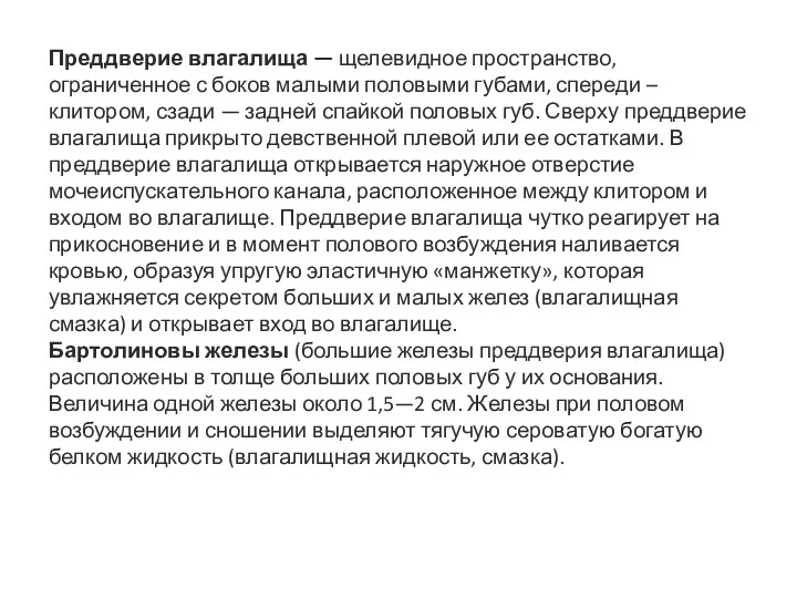 Преддверие влагалища — щелевидное пространство, ограниченное с боков малыми половыми