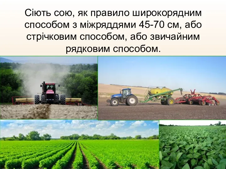 Сіють сою, як правило широкорядним способом з міжряддями 45-70 см,