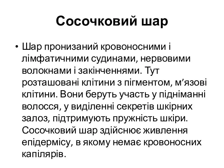 Сосочковий шар Шар пронизаний кровоносними і лімфатичними судинами, нервовими волокнами