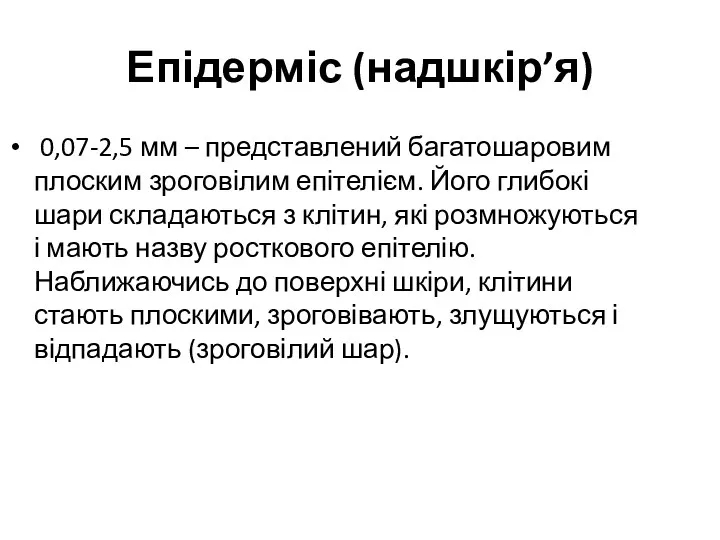 Епідерміс (надшкір’я) 0,07-2,5 мм – представлений багатошаровим плоским зроговілим епітелієм.