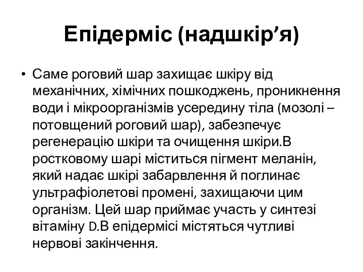 Епідерміс (надшкір’я) Саме роговий шар захищає шкіру від механічних, хімічних