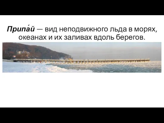 Припа́й — вид неподвижного льда в морях, океанах и их заливах вдоль берегов.