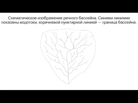 Схематическое изображение речного бассейна. Синими линиями показаны водотоки, коричневой пунктирной линией — граница бассейна.