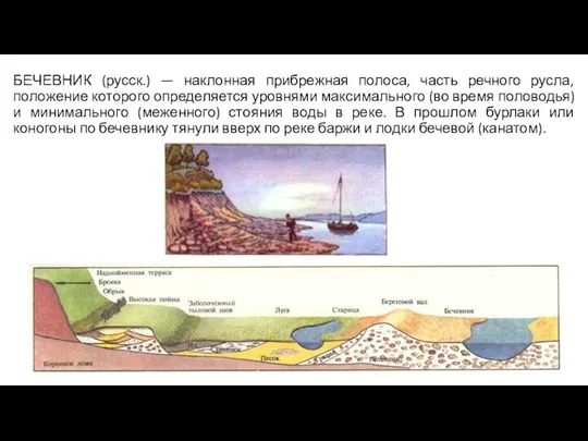 БЕЧЕВНИК (русск.) — наклонная прибрежная полоса, часть речного русла, положение