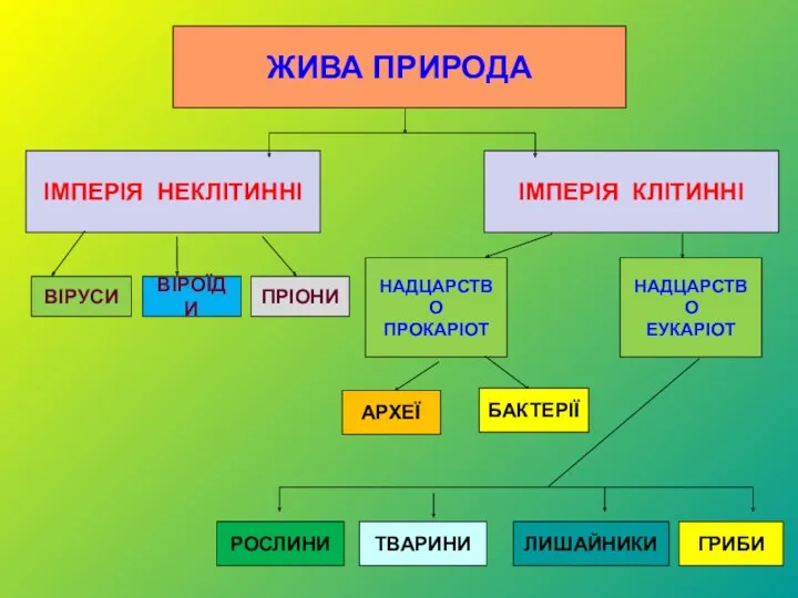 ЖИВА ПРИРОДА РОСЛИНИ ТВАРИНИ ЛИШАЙНИКИ ГРИБИ ІМПЕРІЯ КЛІТИННІ ІМПЕРІЯ НЕКЛІТИННІ