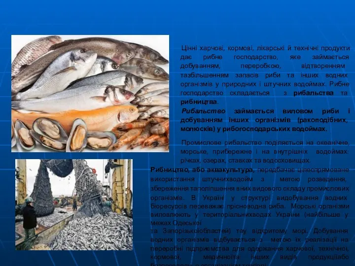 Цінні харчові, кормові, лікарські й технічні продукти дає рибне господарство,