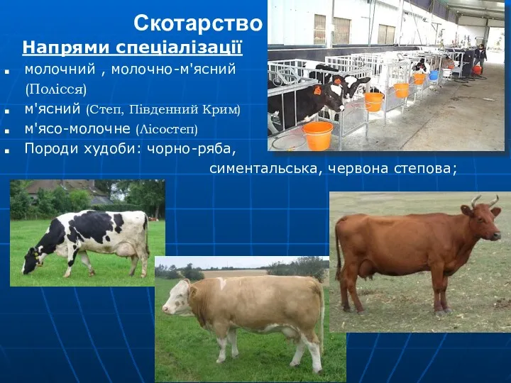 Скотарство Напрями спеціалізації молочний , молочно-м'ясний (Полісся) м'ясний (Степ, Південний