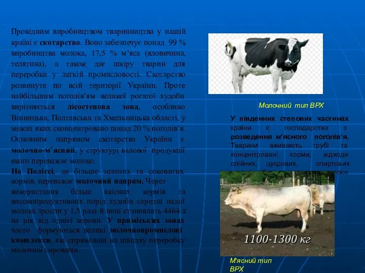 Провідним виробництвом тваринництва у нашій країні є скотарство. Воно забезпечує