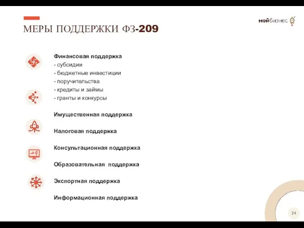 МЕРЫ ПОДДЕРЖКИ ФЗ-209 Финансовая поддержка - субсидии - бюджетные инвестиции