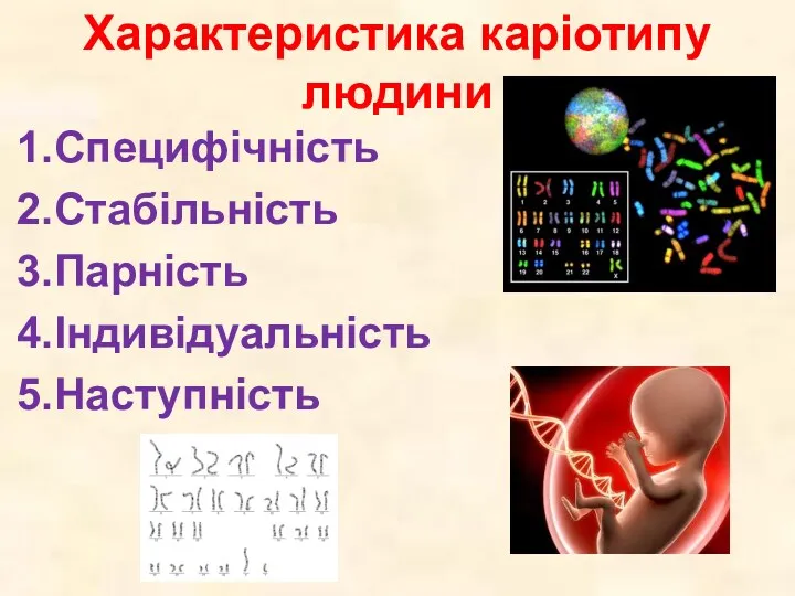 Характеристика каріотипу людини 1.Специфічність 2.Стабільність 3.Парність 4.Індивідуальність 5.Наступність