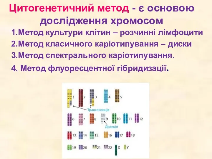 Цитогенетичний метод - є основою дослідження хромосом 1.Метод культури клітин
