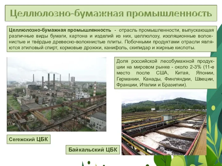 Доля российской лесобумажной продук-ции на мировом рынке - около 2-3% (11-е место после