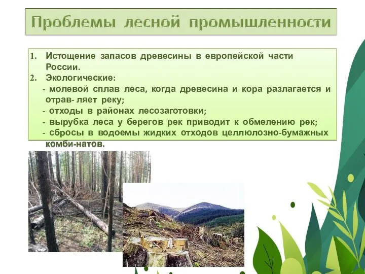Истощение запасов древесины в европейской части России. Экологические: - молевой сплав леса, когда