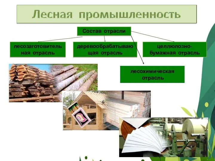 Состав отрасли деревообрабатывающая отрасль лесозаготовительная отрасль целлюлозно-бумажная отрасль лесохимическая отрасль