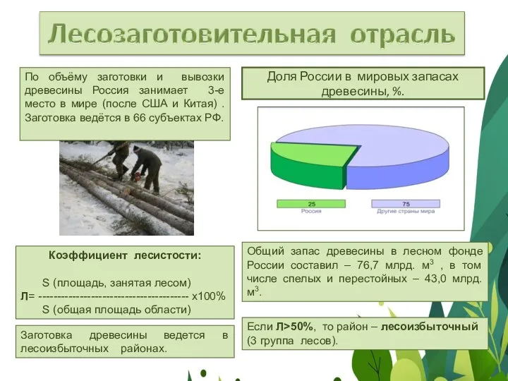 Доля России в мировых запасах древесины, %. Общий запас древесины