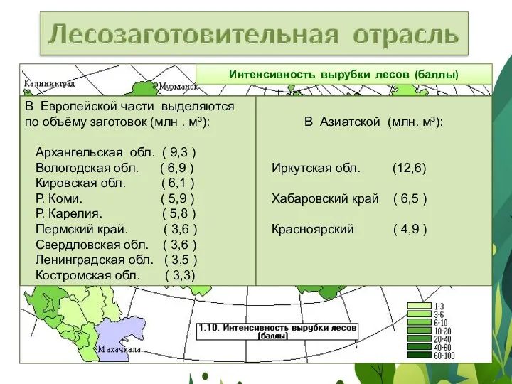 Интенсивность вырубки лесов (баллы) В Европейской части выделяются по объёму заготовок (млн .