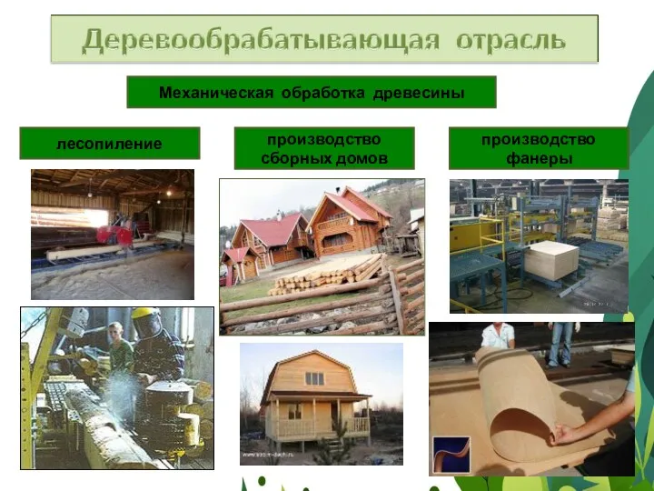 Механическая обработка древесины лесопиление производство сборных домов производство фанеры