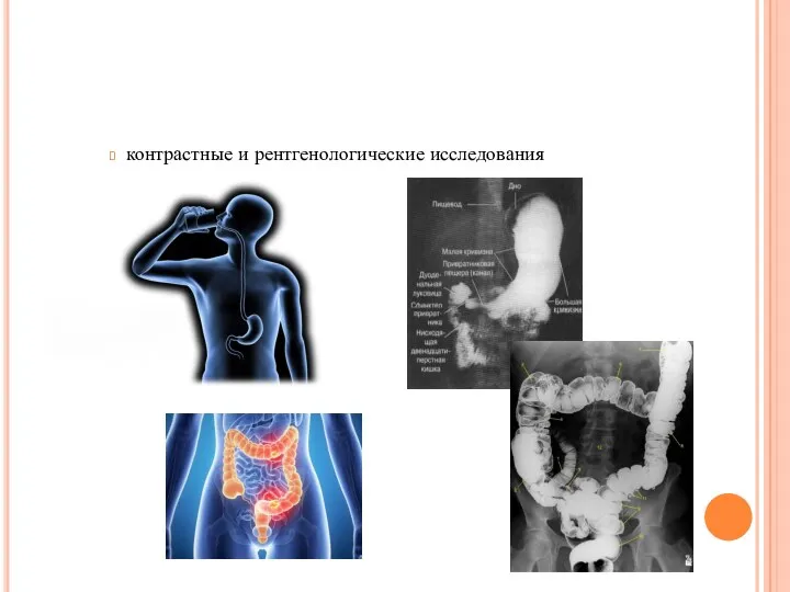 контрастные и рентгенологические исследования