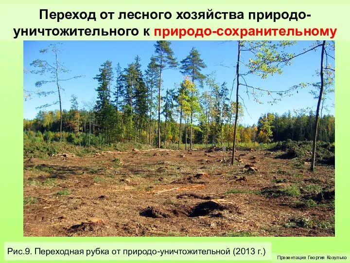 Переход от лесного хозяйства природо-уничтожительного к природо-сохранительному Презентация Георгия Козулько