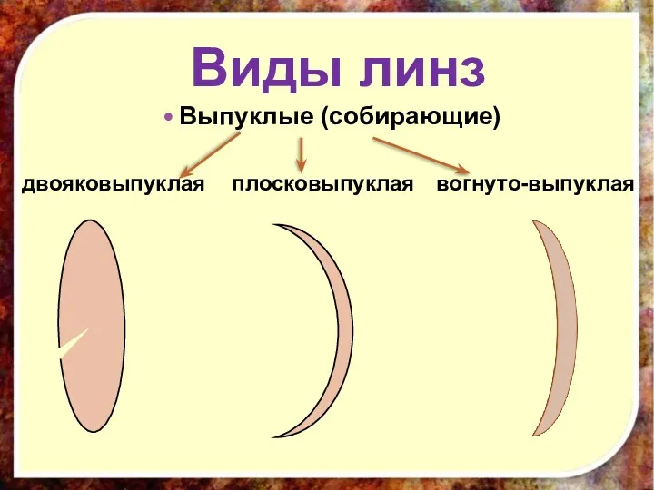 Виды линз Выпуклые (собирающие) двояковыпуклая плосковыпуклая вогнуто-выпуклая