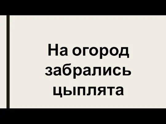 На огород забрались цыплята