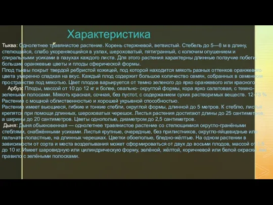 Характеристика Тыква: Однолетнее травянистое растение. Корень стержневой, ветвистый. Стебель до