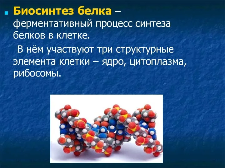 Биосинтез белка – ферментативный процесс синтеза белков в клетке. В нём участвуют три