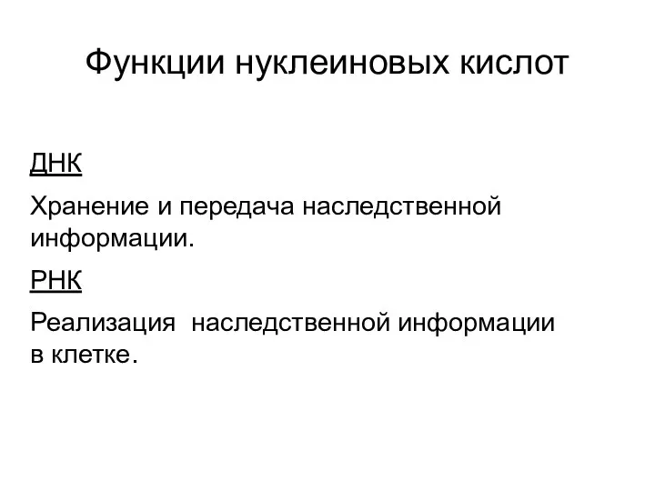 Функции нуклеиновых кислот ДНК Хранение и передача наследственной информации. РНК Реализация наследственной информации в клетке.