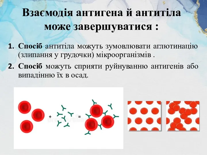 Спосіб антитіла можуть зумовлювати аглютинацію (злипання у грудочки) мікроорганізмів . Спосіб можуть сприяти