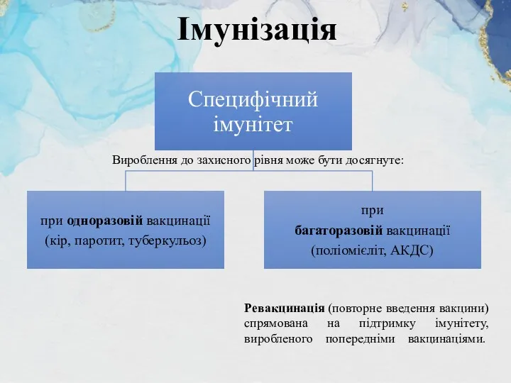 Імунізація Ревакцинація (повторне введення вакцини) спрямована на підтримку імунітету, виробленого