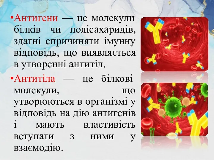 Антигени — це молекули білків чи полісахаридів, здатні спричиняти імунну відповідь, що виявляється