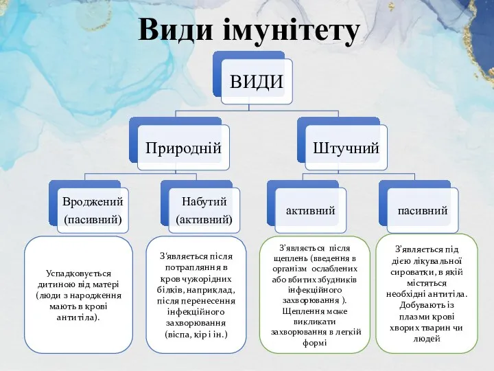 Успадковується дитиною від матері (люди з народження мають в крові антитіла). З‘являється після