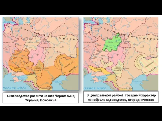 Скотоводство развито на юге Черноземья, Украине, Поволжье В Центральном районе товарный характер приобрело садоводство, огородничество