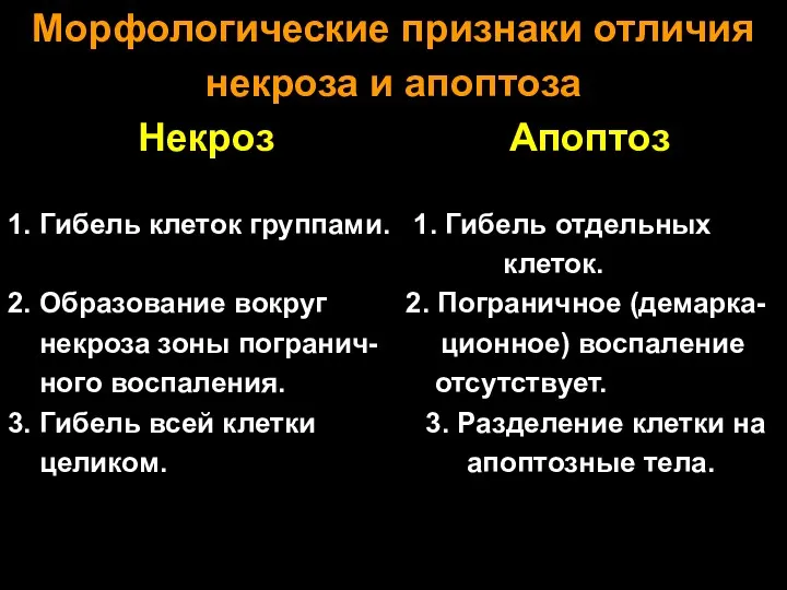 Морфологические признаки отличия некроза и апоптоза Некроз Апоптоз 1. Гибель клеток группами. 1.