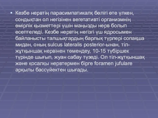 Кезбе нервтің парасимпатикалқ бөлігі өте үлкен, сондықтан ол негізінен вегетативті