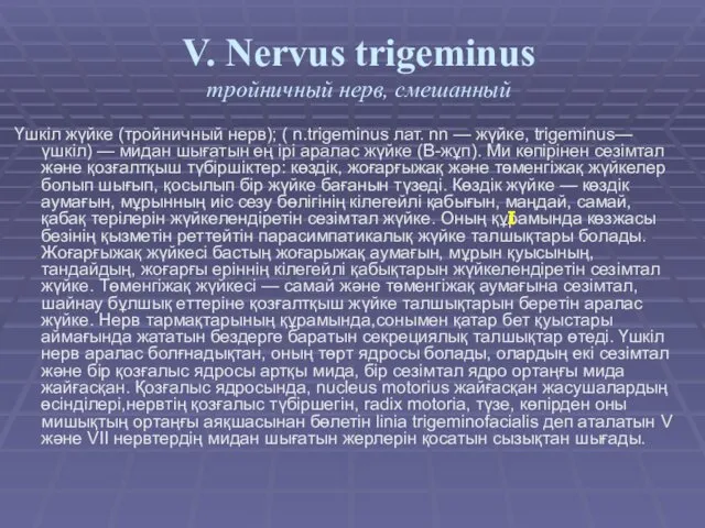 V. Nervus trigeminus тройничный нерв, смешанный Үшкіл жүйке (тройничный нерв);