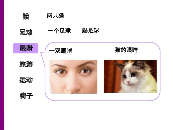 两只猫 眼睛 旅游 运动 椅子 足球 猫 一个足球 踢足球 一双眼睛 猫的眼睛