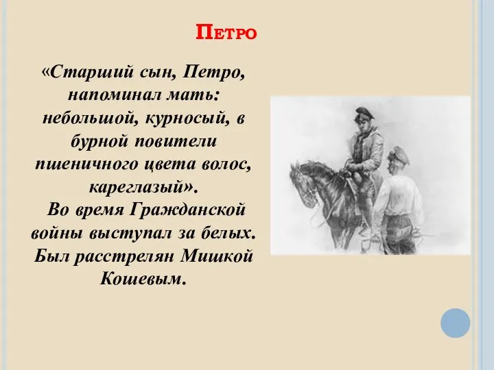 Петро «Старший сын, Петро, напоминал мать: небольшой, курносый, в бурной повители пшеничного цвета