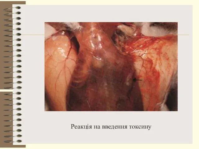 Реакція на введення токсину
