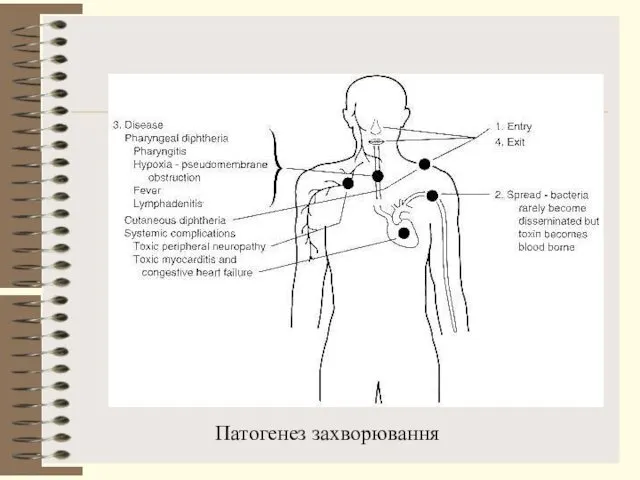 Патогенез захворювання