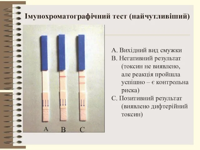 Імунохроматографічний тест (найчутливіший) А. Вихідний вид смужки В. Негативний результат