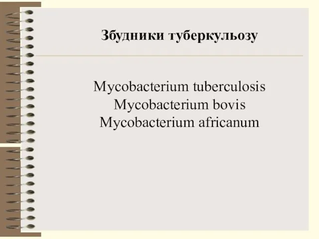 Збудники туберкульозу Mycobacterium tuberculosis Mycobacterium bovis Mycobacterium africanum