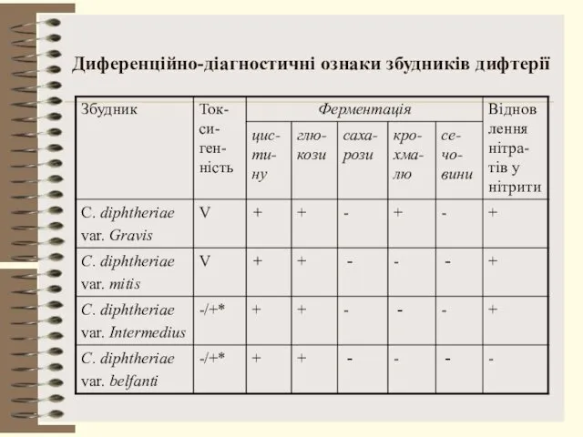 Диференційно-діагностичні ознаки збудників дифтерії