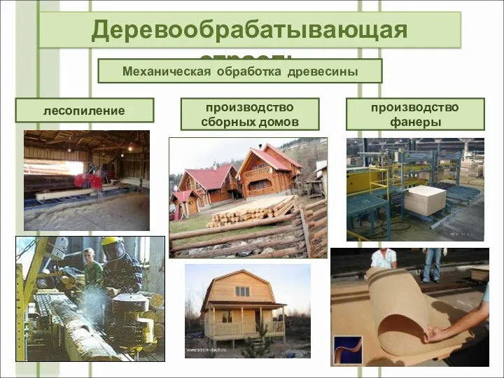 Деревообрабатывающая отрасль Механическая обработка древесины лесопиление производство сборных домов производство фанеры