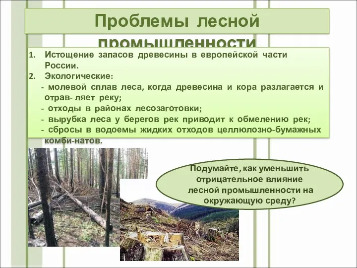 Проблемы лесной промышленности Истощение запасов древесины в европейской части России. Экологические: - молевой
