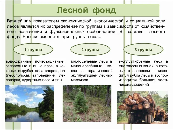 Лесной фонд Важнейшим показателем экономической, экологической и социальной роли лесов